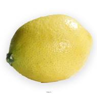 Citron jaune lesté factice D 7,5 cm touché réel