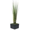 Isolepsis factice graminee Herbe d eau H 95 cm dans un pot