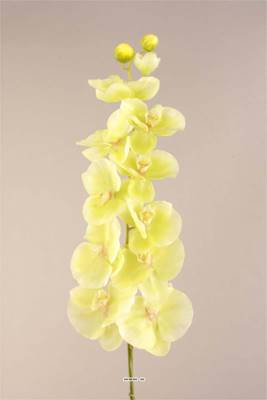 Orchidee Phalaenopsis Vert jaune artificielle H 125 cm Latex Toucher reel
