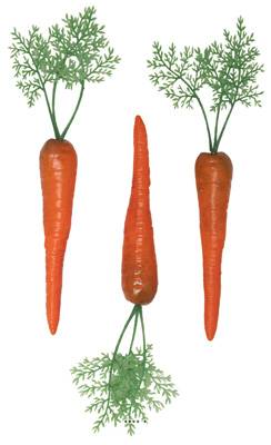 Carottes avec feuilles factices x3 L 300x40 mm plastique soufflé