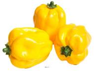Poivrons jaunes factices x3 H 110x85 mm plastique soufflé