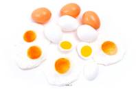 Lot de 12 œufs assortis factices plastique soufflé
