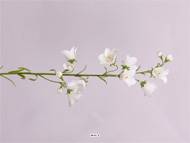 Campanule factice en tige Fleur factice des champs H 65 cm ideale pour bouquet Blanc neige
