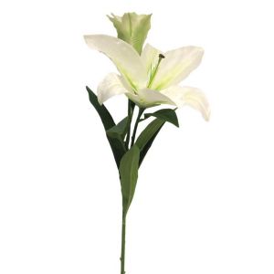 Lys commun factice crème H 74 cm