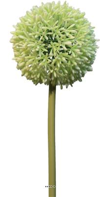 Fleur d'allium factice en tige H 68 cm Crème vert