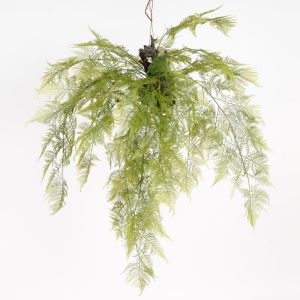 Fougère factice plumosus supsendue, L 110 cm D 100 cm