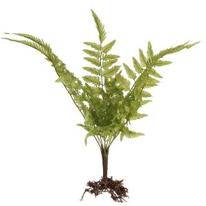 Fougère factice osmuda regalis en piquet, H 50 cm
