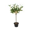 Petit Olivier factice en pot, H 40 cm, D 18 cm