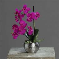Orchidée phalaenopsis factice en pot céramique, H 30 cm Pourpre