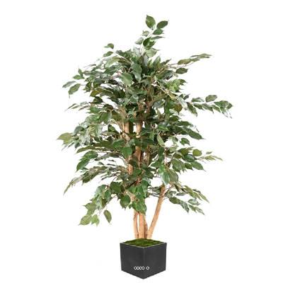 Ficus Banjamina eco semi naturel H150 cm factice en pot