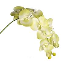 Orchidee Lisa artificielle Vert ete H 98 cm 8 fleurons 4 boutons qualite Pro