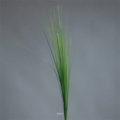 Isolepsis factice H 70 cm en tige vert ouvert magnifique