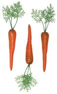 Carottes avec feuilles factices x3 L 300x40 mm plastique soufflé