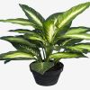 Dieffenbachia factice dans un pot H 38 cm feuillage tergal enduit de toute beaute