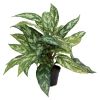 Aglaonema plante factice dans un pot H 37 cm tres fournie