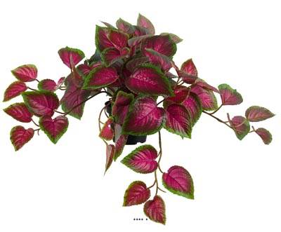 Coleus factice plante verte en pot de type rampant très coloré H 25 cm Vert-rouge