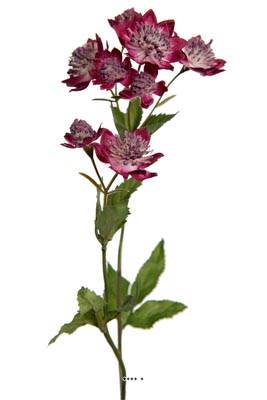 Astrance fleur artificiellel H 50 cm 8 fleurs 2 ramures Rare et superbe Mauve violet