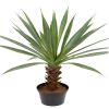 Agave en pot factice sur pied H 40 cm, D 30 cm