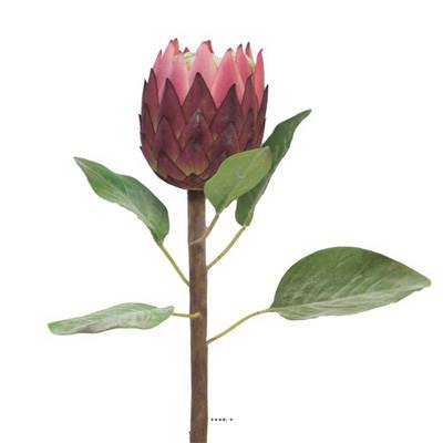 Protea factice sur tige H 67 cm, D 13 cm, Rose soutenu