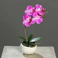 Orchidée phalaenopsis Factice en coupe céramique H 25 cm Lavande
