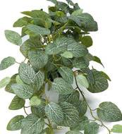 Fittonia factice en pot, feuillage retombant L 50 cm