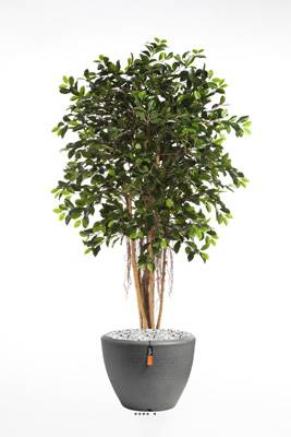 Ficus Retusa factice H 150 cm 1440 feuilles en pot