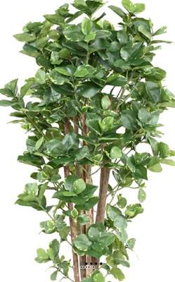 Clusia variegata Faux arbre artificiel H 150 cm D 75 cm en pot