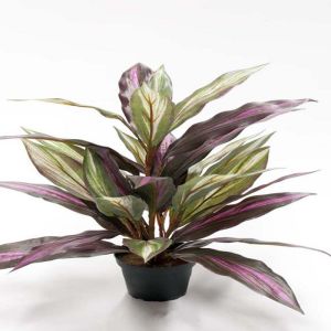 Dracaena plante factice dans un pot H 40 cm tres fournie