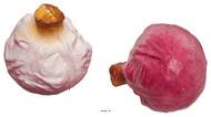 Choux rouges factices x2 H 13x12 cm plastique soufflé