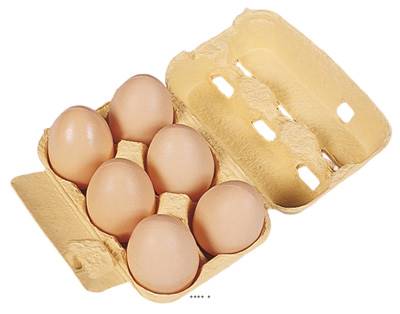 Œufs de poule factice L 150x110 mm plastique soufflé