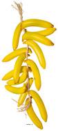 Régime de 15 bananes factices L 60 cm plastique soufflé