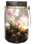 Plante grasse factice cactée en pot de verre et Guirlande Led Type B