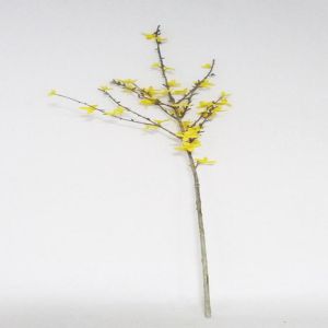 Branche de Forsythia artificiel Jaune H 88 cm 41 fleurs superbe