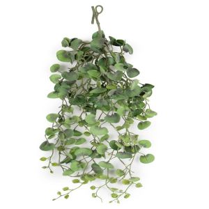 Chute de ceropegia factice, L 80 cm, D 25 cm