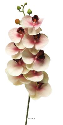 Orchidée phalaenopsis factice en tige, toucher réel, H 77 cm, Pourpre-blanc