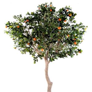 Oranger factice H 280 cm tronc naturel dans un pot avec fruits L 150 cm avec Oranges