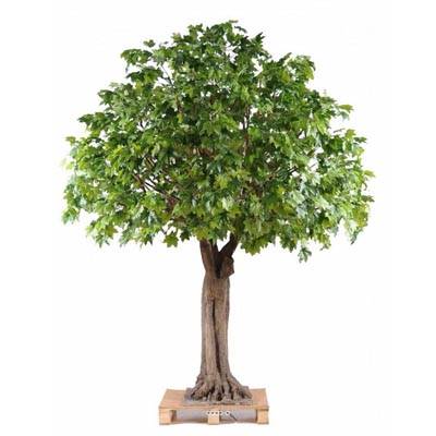 Platane arbre factice H 350 cm L 290 cm Tronc bois et fibreglass sur platine