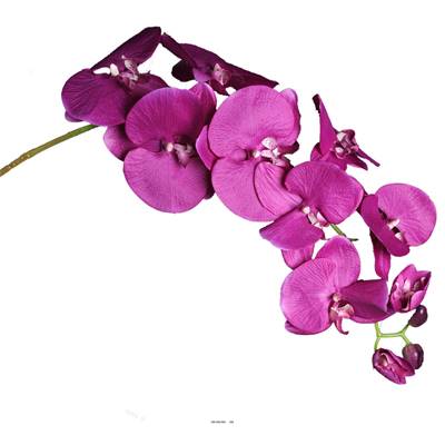 Orchidee Lisa artificielle Rose intense H 98 cm 8 fleurons 4 boutons qualite Pro