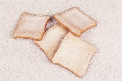 Toasts pain de mie factices x4 D 110 mm plastique soufflé