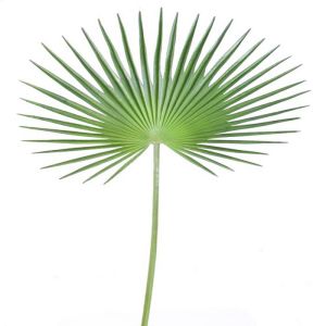 Feuille palmier Chamaerops artificielle H 120 cm D 60 cm polyurethane