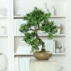 Bonsai factice Pin des Boudhistes H 50 X 40 cm Pot ceramique qualitatif