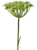 Fleurs factices, Heracleum en tige, H 98 cm, D 35 cm, Vert