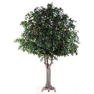 Chene arbre factice H 350 cm L 280 cm tronc bois et fibre sur platine