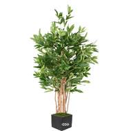 Clusia variegata Faux arbre artificiel H 150 cm D 75 cm en pot